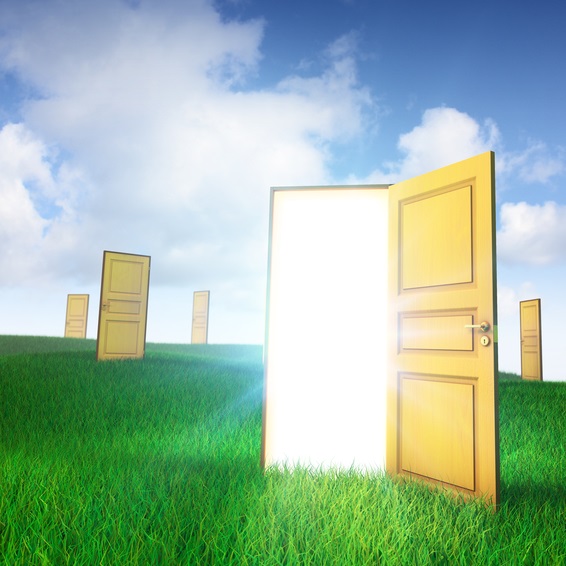 Open door with bright white light shining through it surrounded by nearby closed doors all on green grass with blue sky